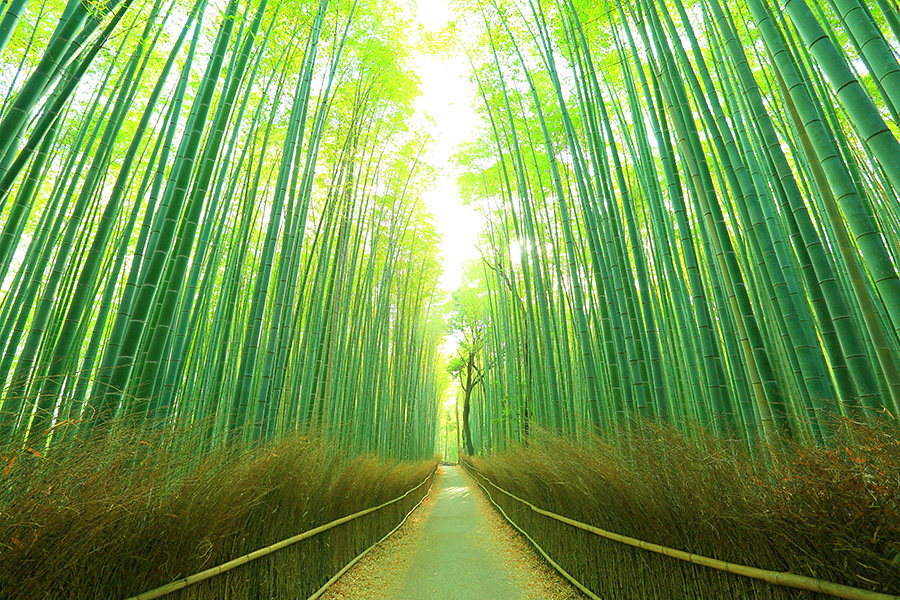 嵐山　美術館