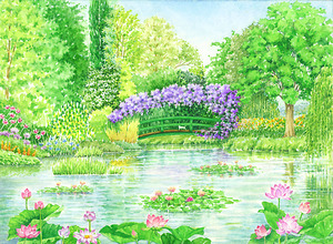 「睡蓮の池」
