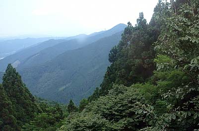 アート モナリザ