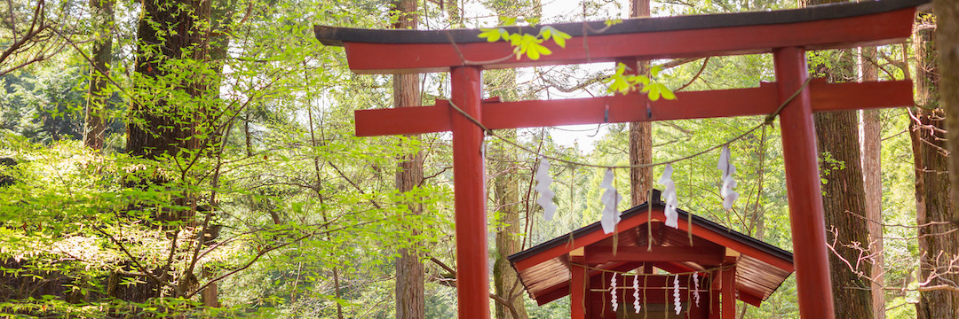 南方熊楠 神社合祀令