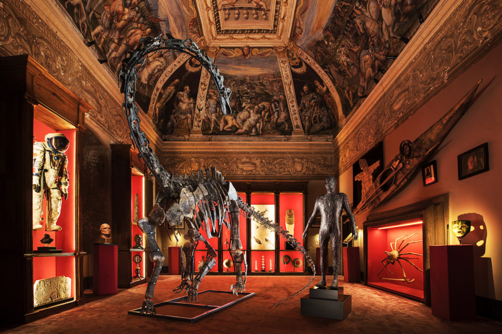 ギャラリー　イタリア　化石