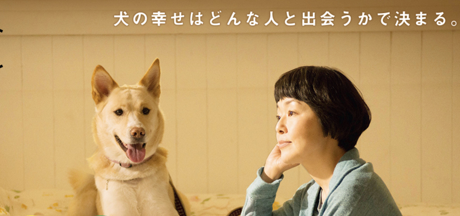 犬に名前をつける日