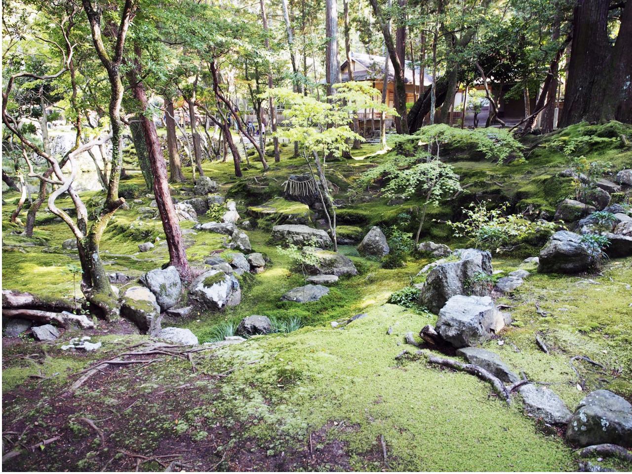 西芳寺庭園（苔寺）の枯山水