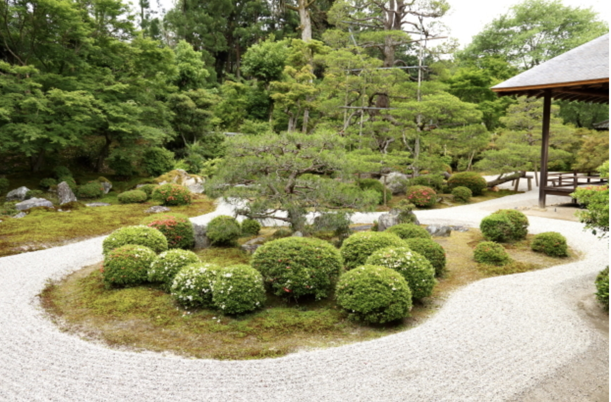 曼殊院庭園